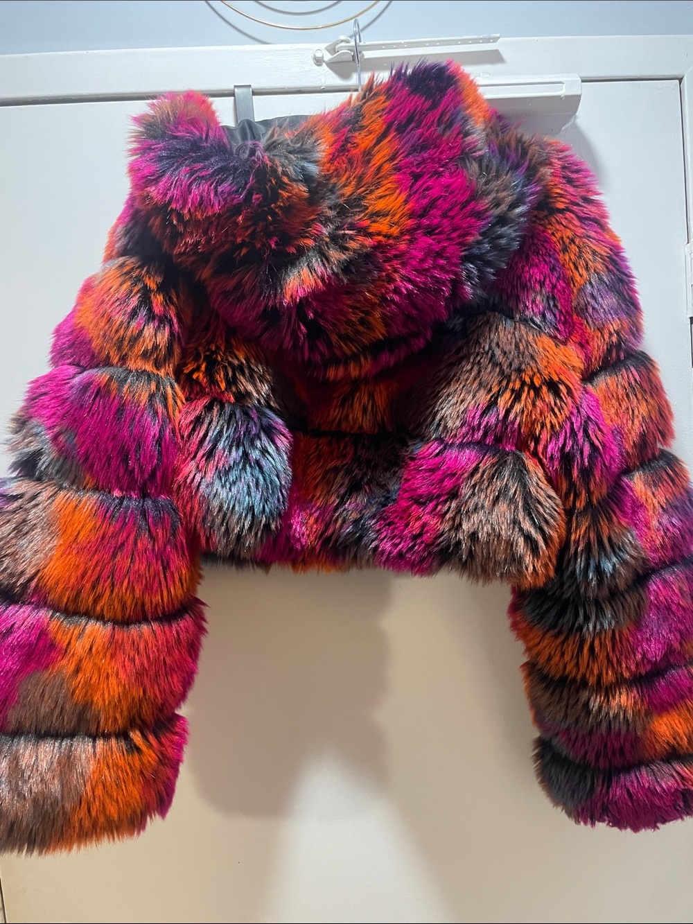 Multicolored Faux Fur Hood Trim Jacket and Ear Muffs - Picture 5 of 7